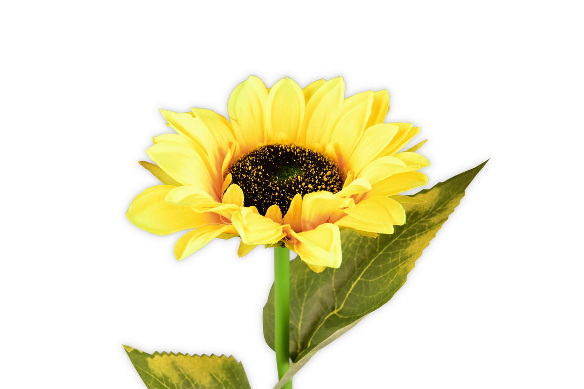 Lampă Solară 15/72 cm    - argintiu/galben, Trend, plastic/metal (15/72cm) - Ambia Garden