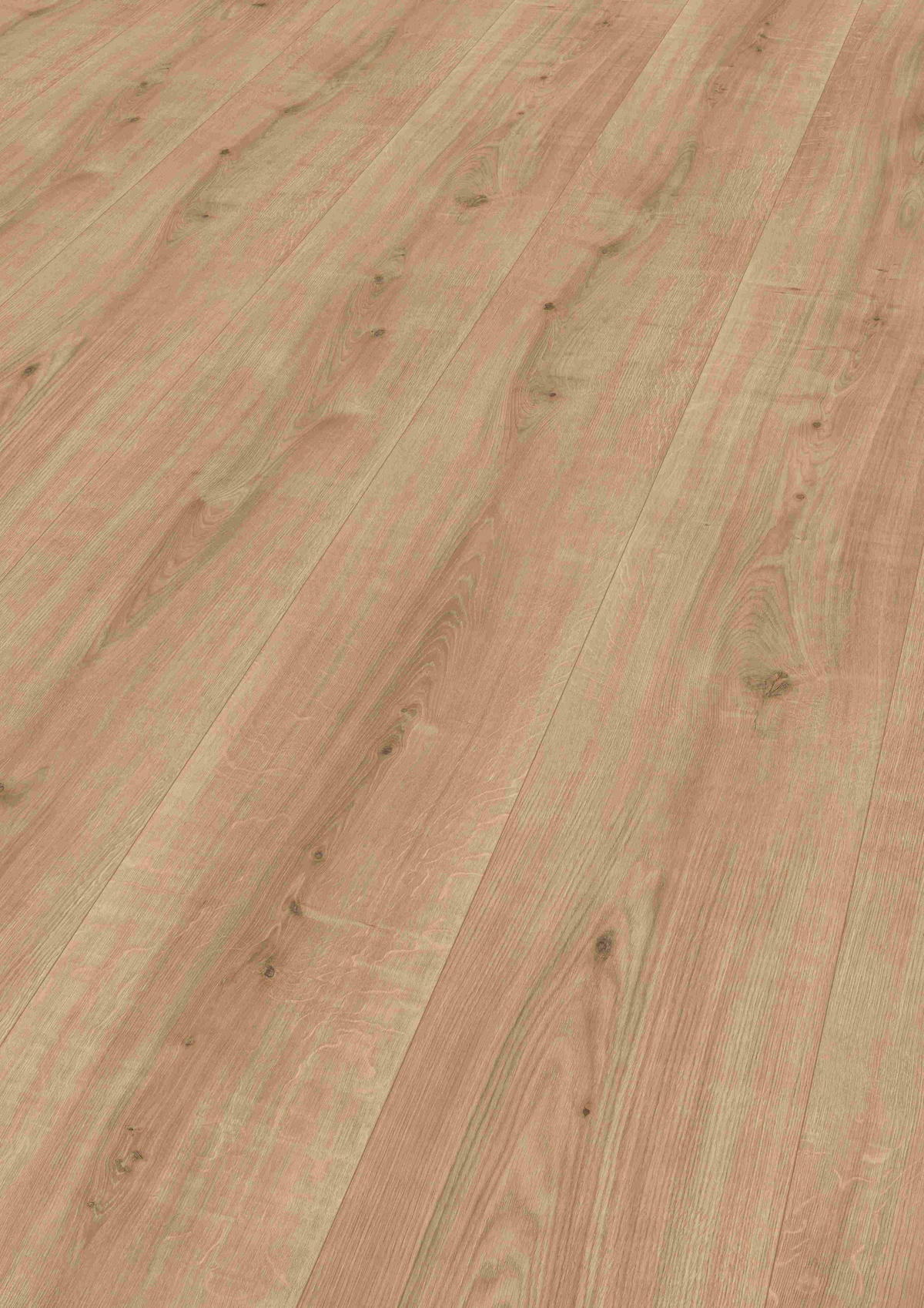 LAMINATBODEN Ortega Eiche  per  m² - KONVENTIONELL, Holzwerkstoff (129,2/32,7/0,8cm) - Venda