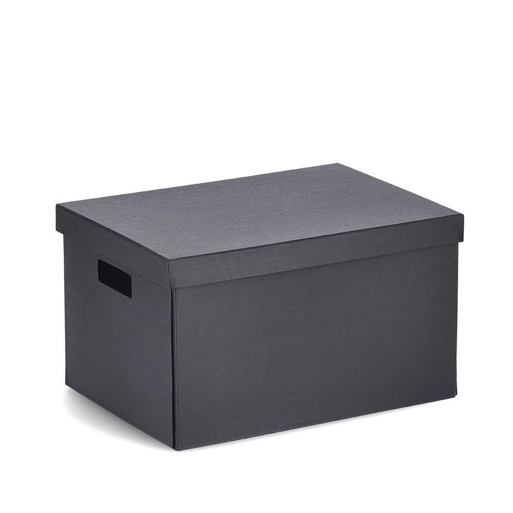 AUFBEWAHRUNGSBOX     - Basics, Karton (25/35/20cm)
