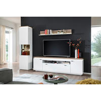 DNEVNI REGAL,  bela, barve hrasta  - barve hrasta/bela, Design, kovina/steklo (270/207/50cm) - Hom`in