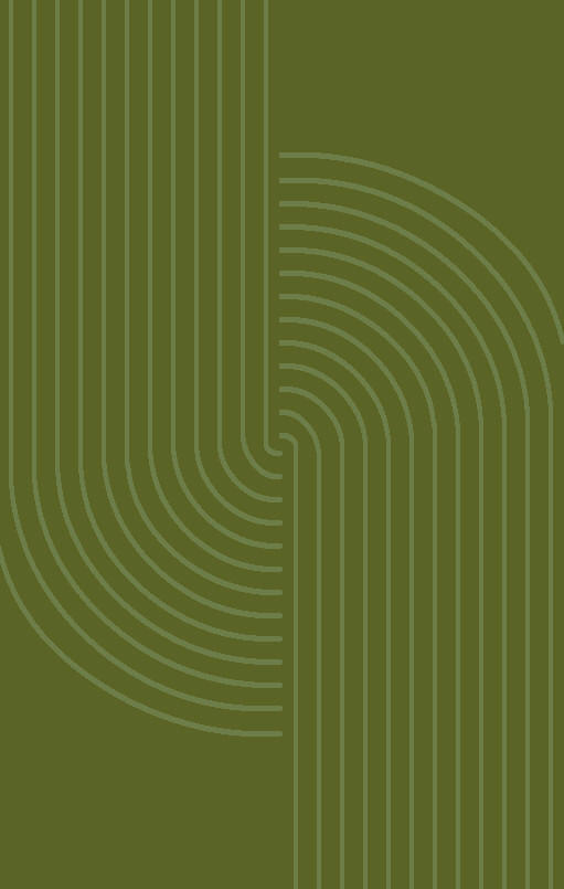 WEBTEPPICH 133/190 cm AVOLA  - Olivgrün, Modern, Textil (133/190cm) - Novel