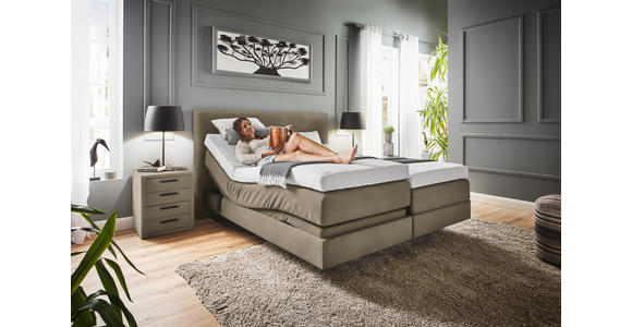 BOXSPRINGBETT 180/200 cm  in Schlammfarben  - Schlammfarben, KONVENTIONELL, Holz/Textil (180/200cm) - Dieter Knoll