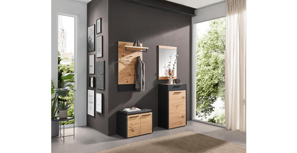 SCHUHSCHRANK 61/103/37 cm - Eichefarben/Schwarz, Design, Holz/Metall (61/103/37cm) - Dieter Knoll