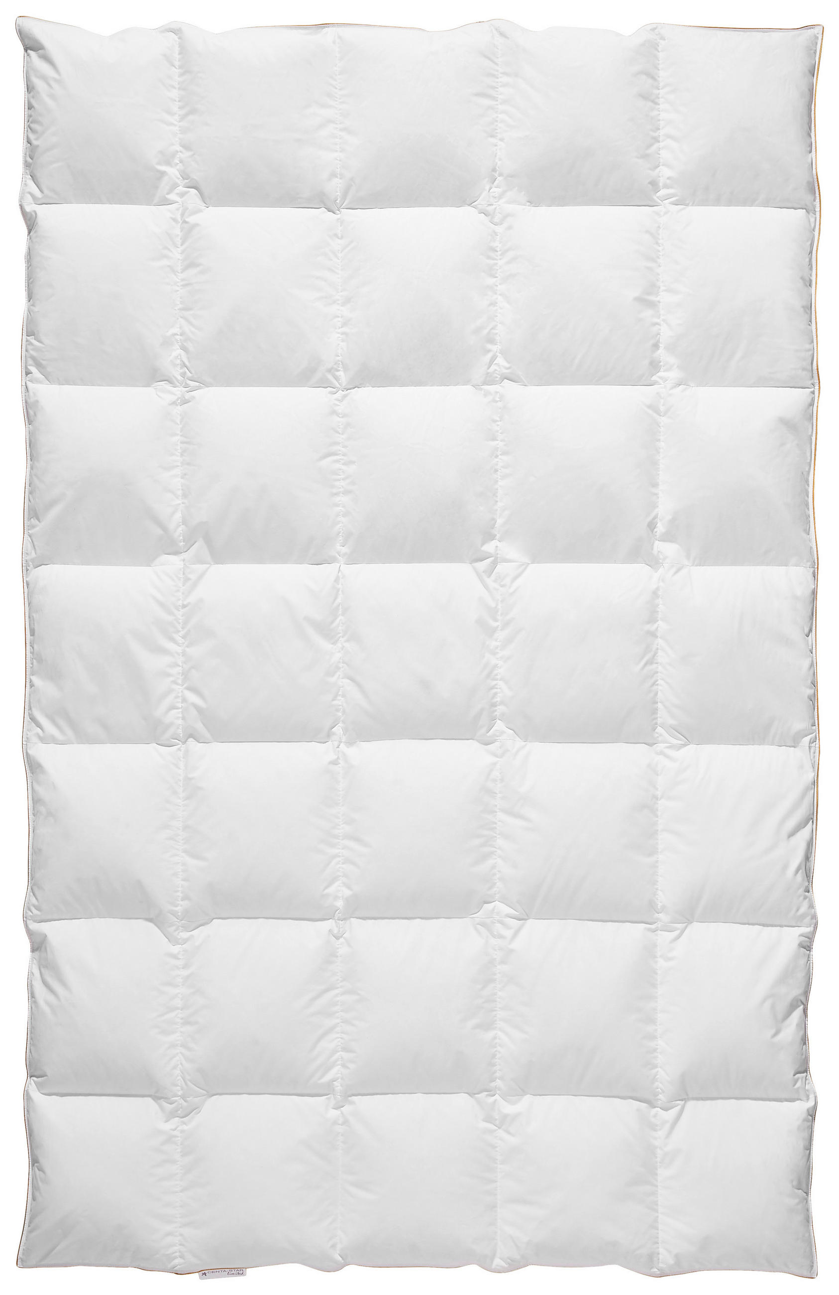 DAUNENDECKE  Golden Fame  155/220 cm   - Weiß, Basics, Textil (155/220cm) - Centa-Star