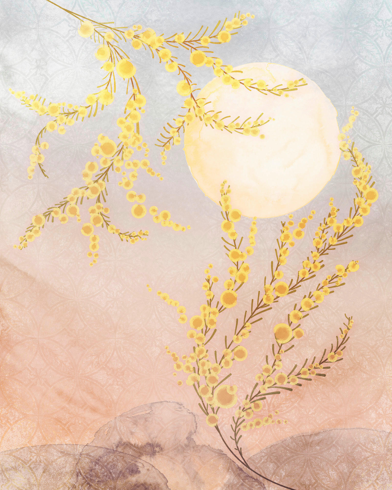 VLIESTAPETE  - Multicolor, Basics (200/250cm) - Xora