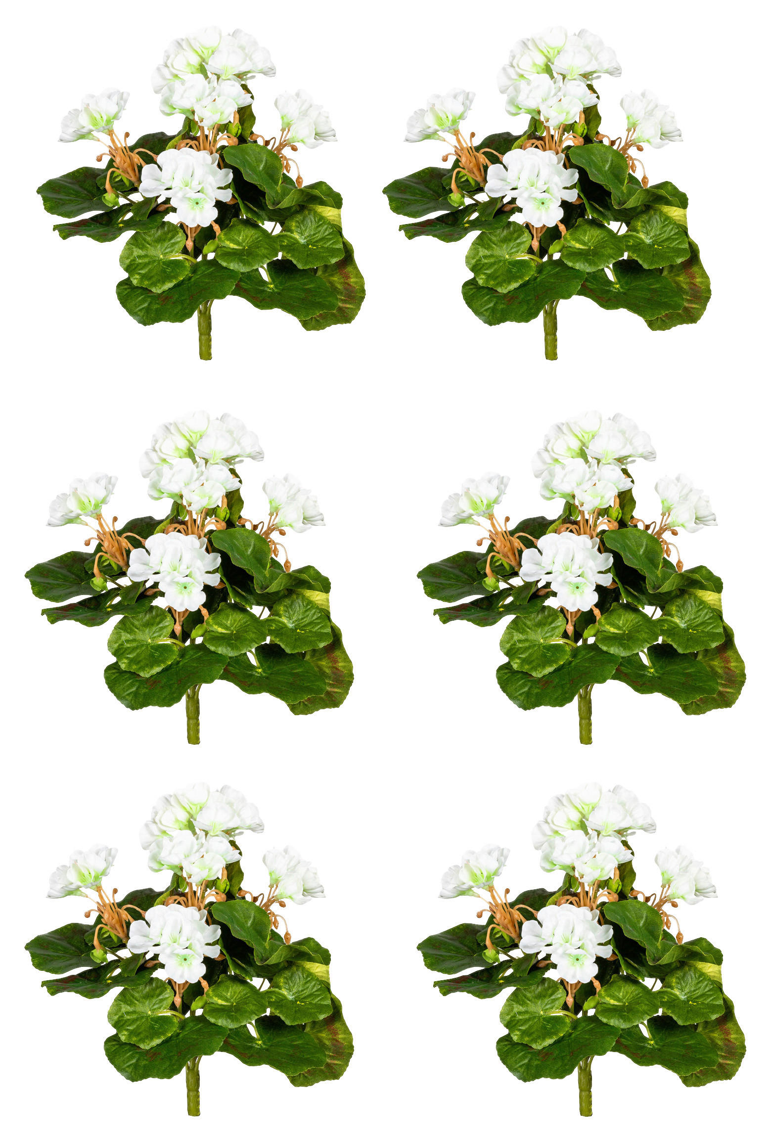 KUNSTPFLANZE Geranie 24 cm  - Weiß/Grün, Design, Kunststoff (24cm) - P & B