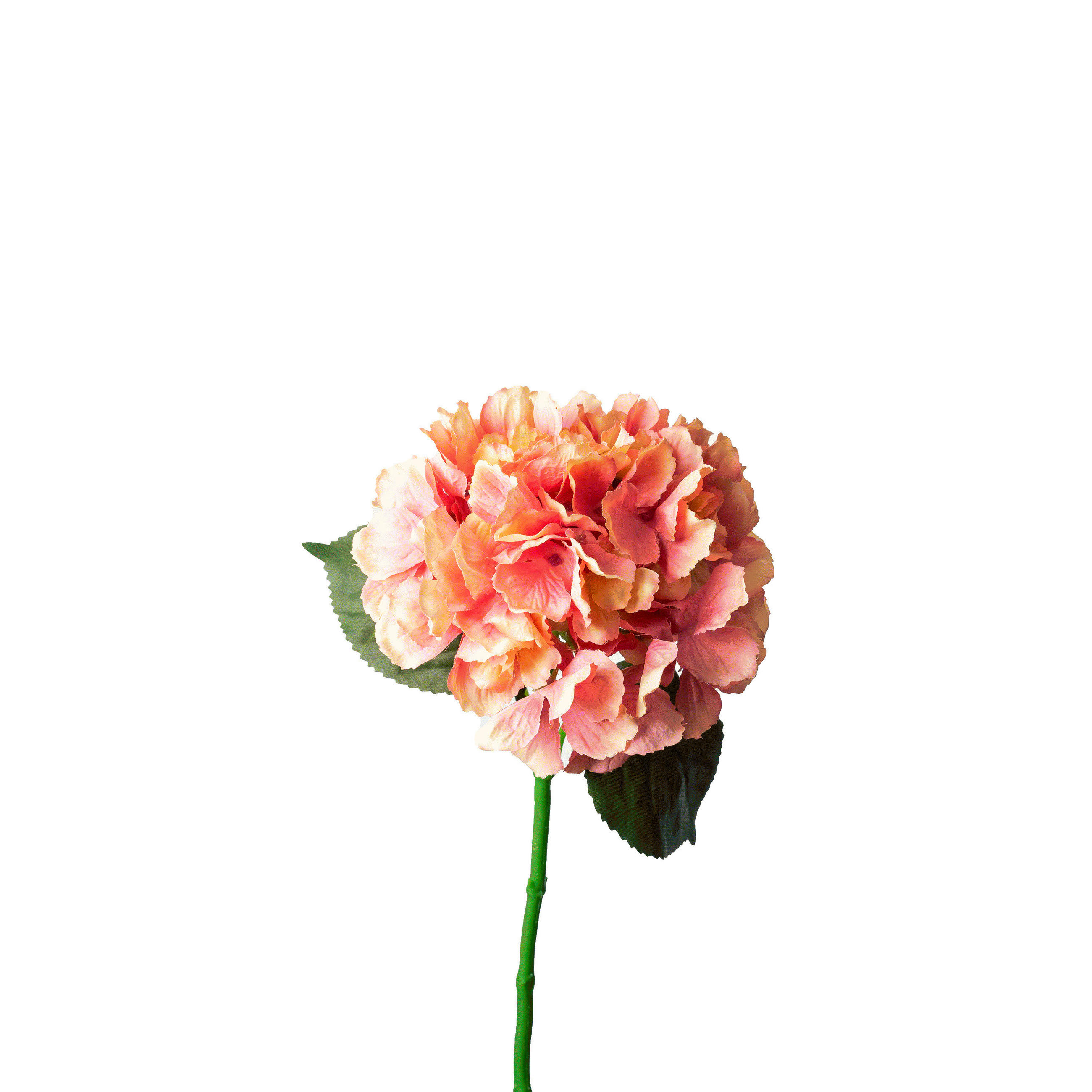 HORTENSIE  - Rosa/Grün, Basics, Kunststoff (40cm)