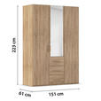 DREHTÜRENSCHRANK in Sonoma Eiche - Sonoma Eiche, Design, Glas/Holzwerkstoff (151/223/60cm) - Novel