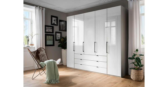 KLEIDERSCHRANK 250/216/58 cm 5-türig Grau, Weiß - Schieferfarben/Weiß, KONVENTIONELL, Glas/Holzwerkstoff (250/216/58cm) - Novel