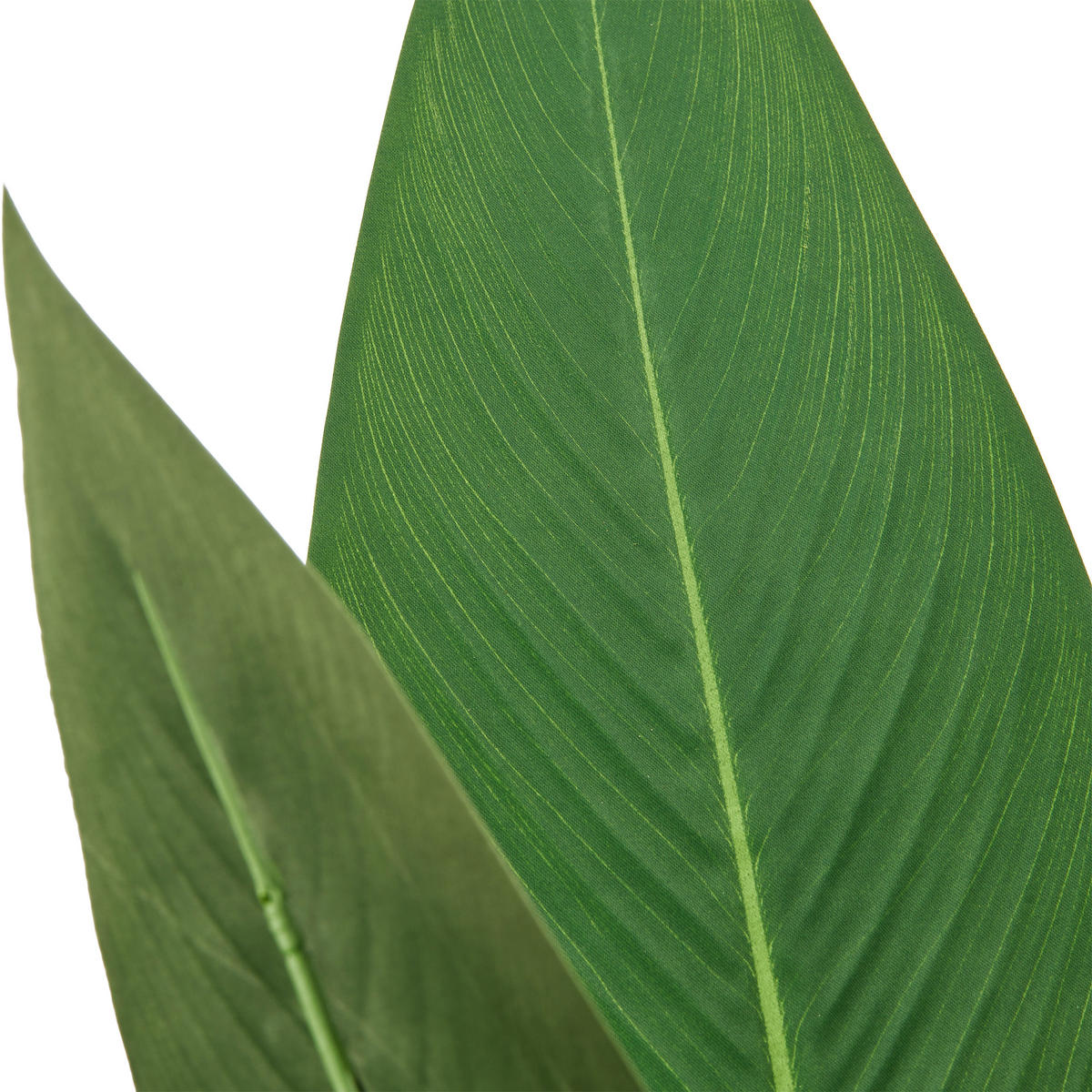 KUNSTPFLANZE Strelitzie 175 cm  - Creme/Grün, Basics, Kunststoff (175cm)