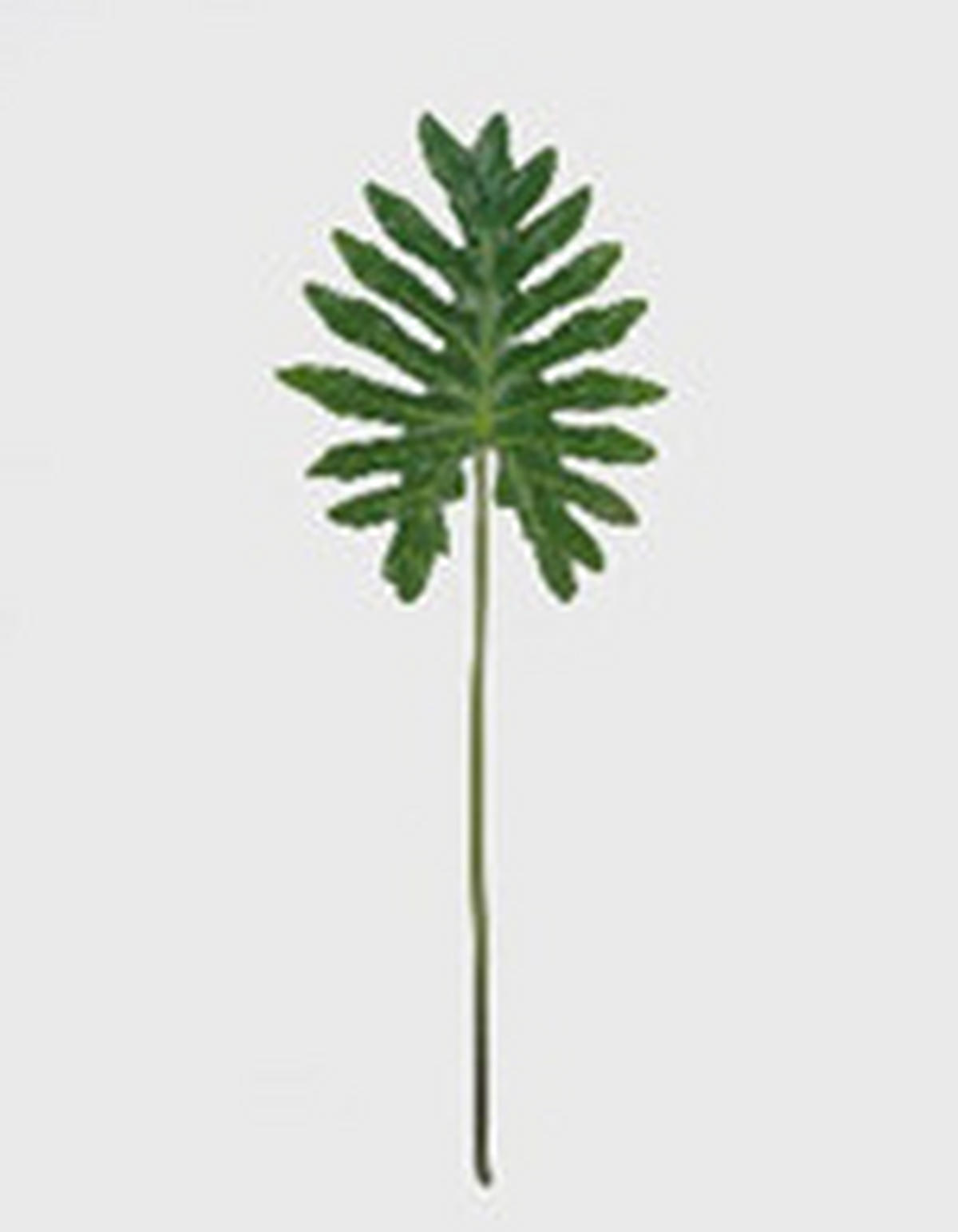 MŰNÖVÉNY - zöld, Basics, műanyag