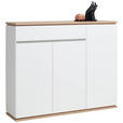 SCHUHSCHRANK 135/112/38 cm - Schwarz/Weiß, Design, Holzwerkstoff/Kunststoff (135/112/38cm) - Xora