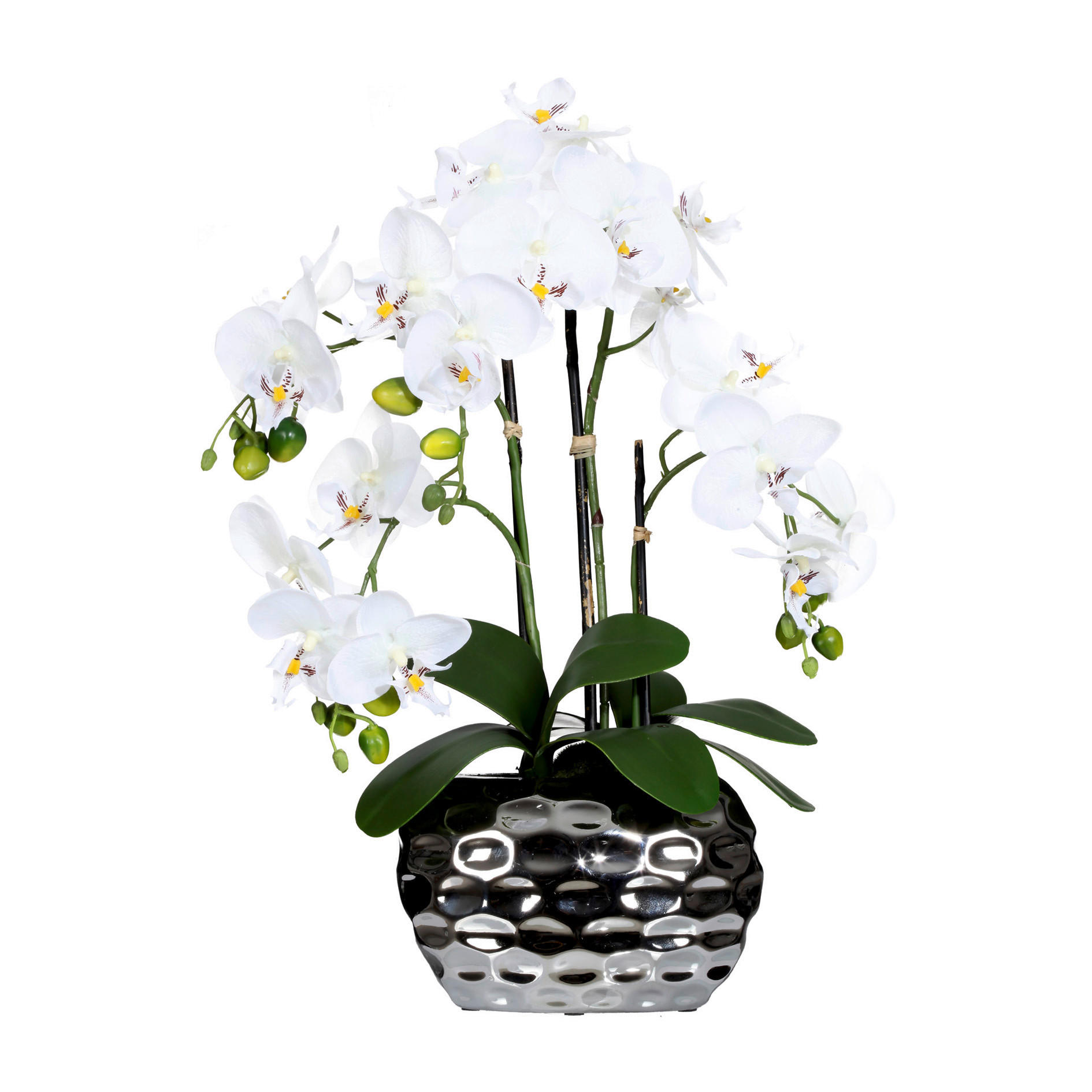 KUNSTPFLANZE Orchidee 55 cm  - Silberfarben/Weiß, Design, Kunststoff (55cm) - P & B