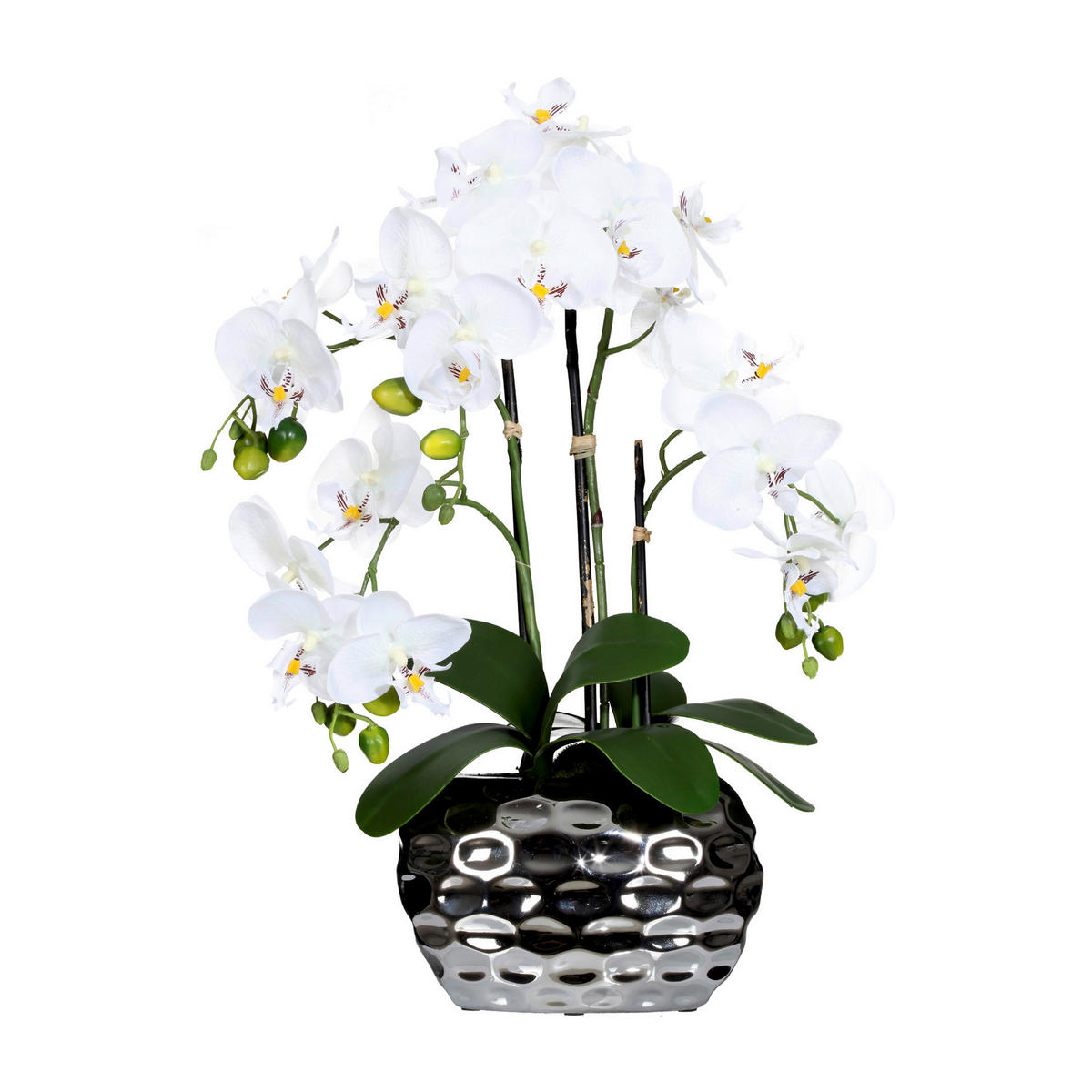 KUNSTPFLANZE Orchidee 55 cm  - Silberfarben/Weiß, Design, Kunststoff (55cm) - P & B