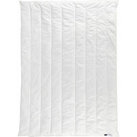 WINTERDECKE  Aqua Aktiv  155/220 cm   - Weiß, Basics, Textil (155/220cm) - Centa-Star
