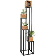 BLUMENSTÄNDER Holz, Metall Akazie massiv  - Schwarz/Akaziefarben, Trend, Holz/Metall (40/184/40cm) - Ambia Home