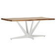 TISCHPLATTE      - Sheeshamfarben, Design, Holz (200/100/5cm) - Landscape