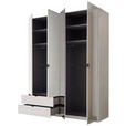 DREHTÜRENSCHRANK 180/225,5/57 cm 4-türig Weiß  - Schwarz/Weiß, KONVENTIONELL, Glas/Holzwerkstoff (180/225,5/57cm) - Xora