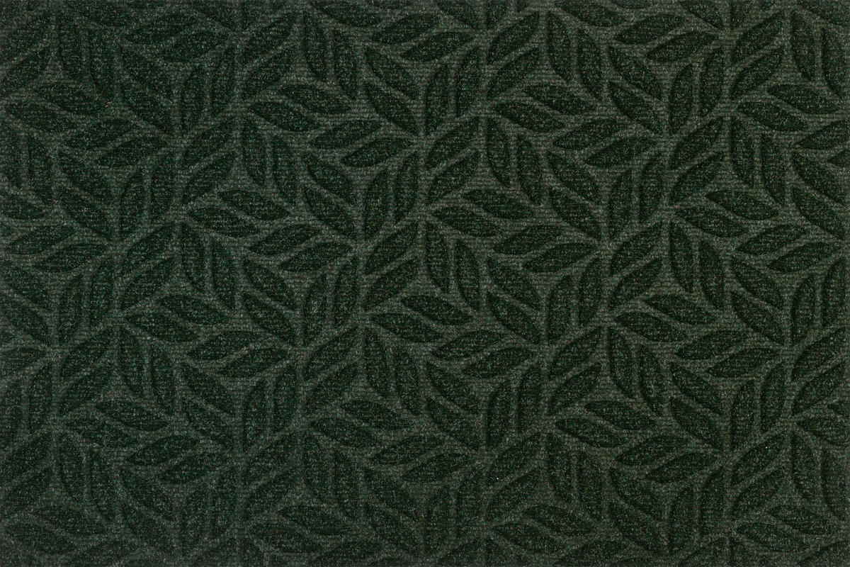 FUßMATTE  60/90 cm  Grün  - Grün, KONVENTIONELL, Kunststoff/Textil (60/90cm) - wash+dry