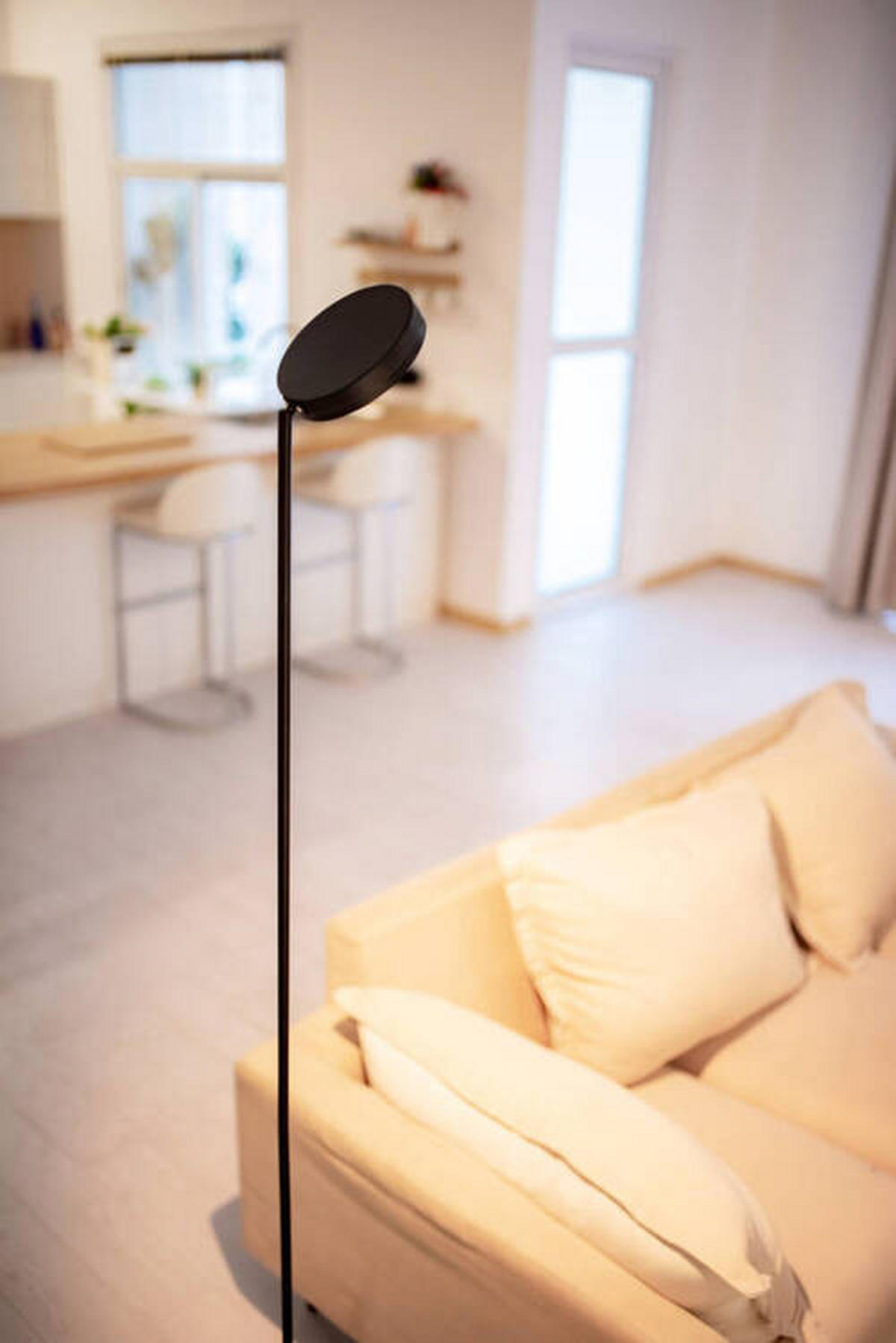 LED-STEHLEUCHTE 28,2/25/160 cm    - Schwarz, Design, Metall (28,2/25/160cm)