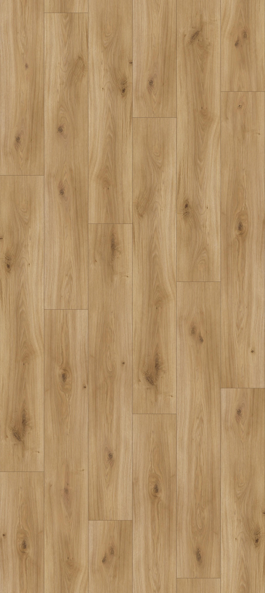 LAMINATBODEN Basic 200 M4V  per  m² - Eichefarben/Dunkelgelb, KONVENTIONELL, Holzwerkstoff (128,5/19,4/0,7cm) - Parador