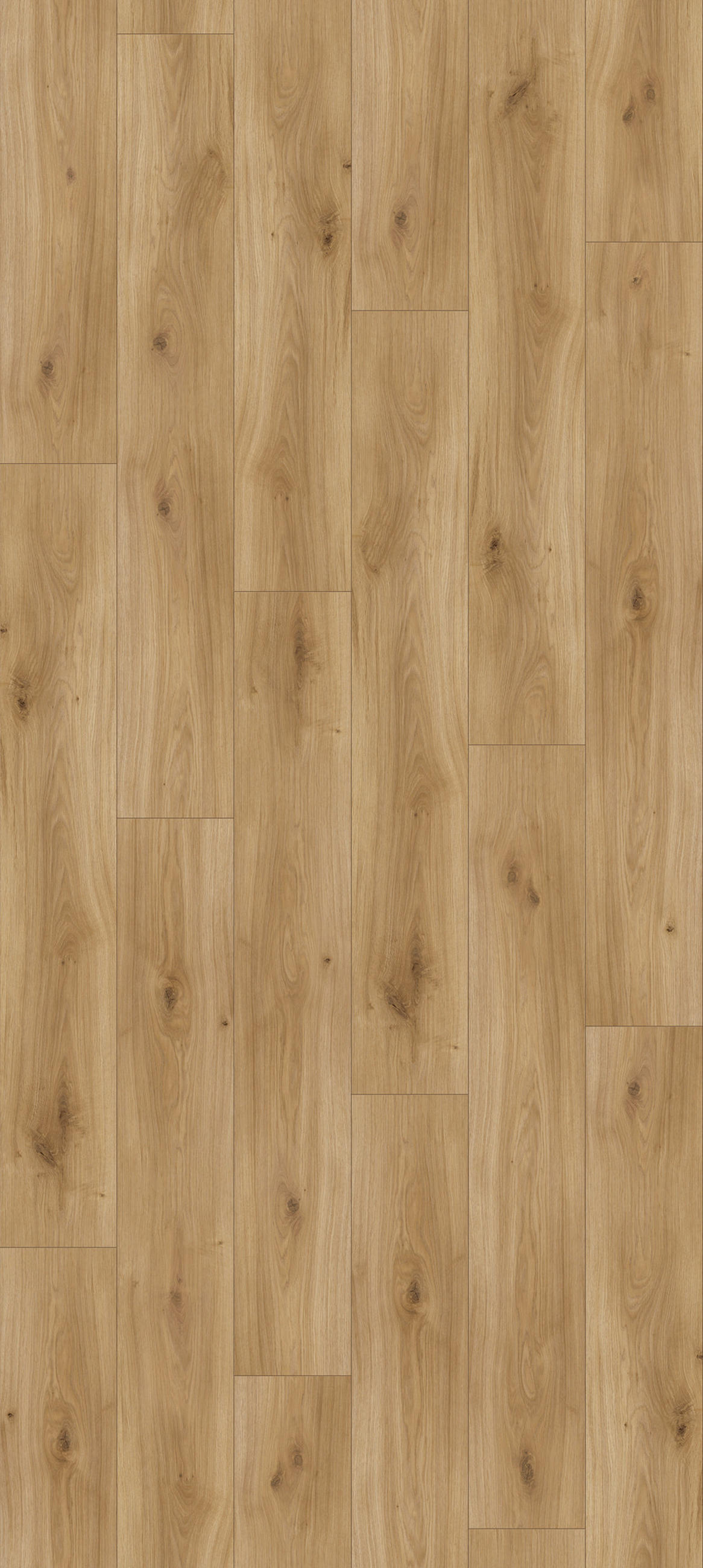 LAMINATBODEN Basic 200 M4V  per  m² - Eichefarben/Dunkelgelb, KONVENTIONELL, Holzwerkstoff (128,5/19,4/0,7cm) - Parador