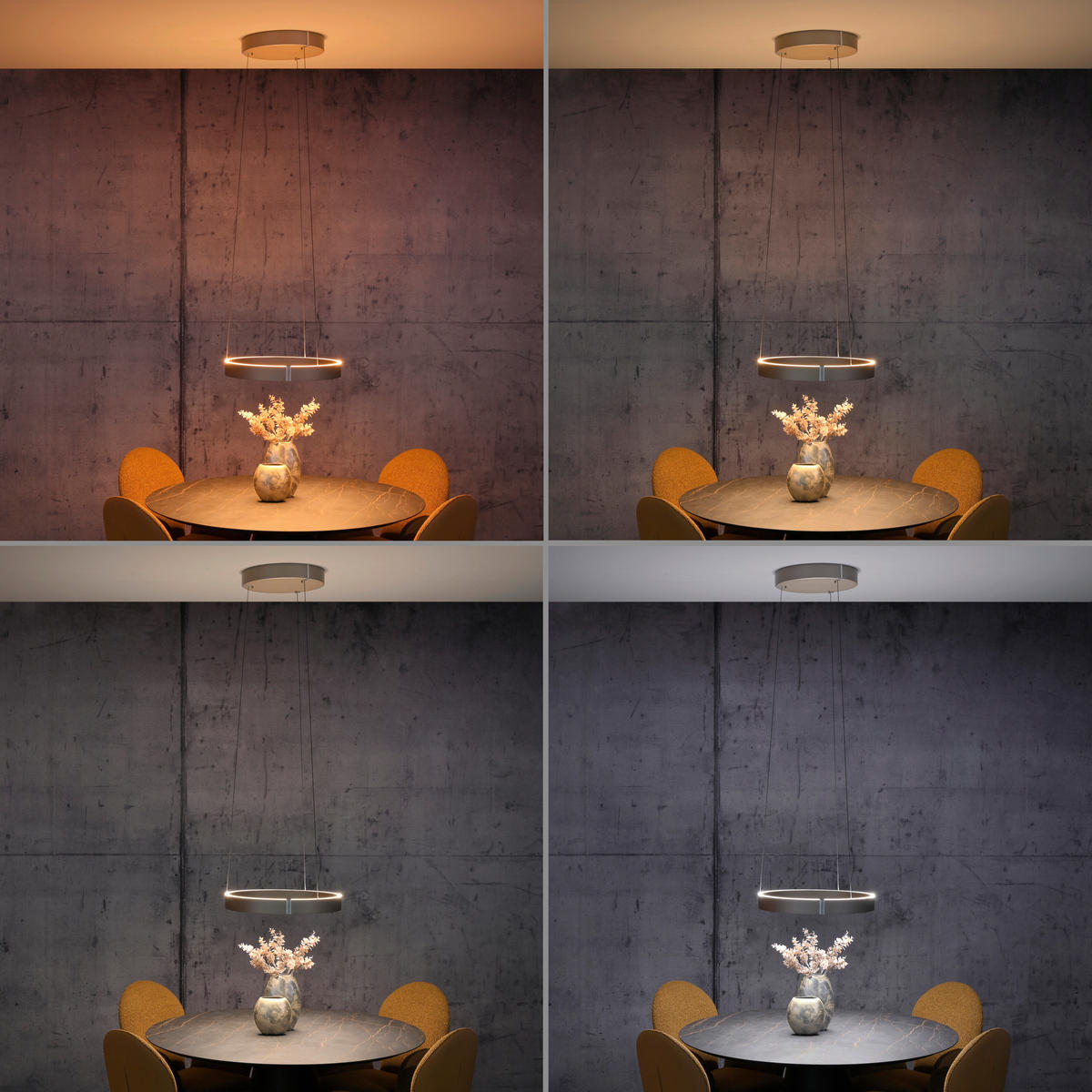 LED-PENDELLEUCHTE PURE E-Clipse 50/50/350 cm   - Bronzefarben, MODERN, Kunststoff/Metall (50/50/350cm) - Neuhaus PURE