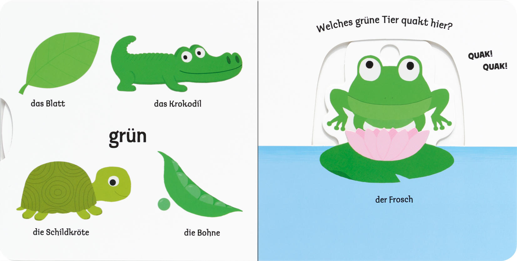 BILDERBUCH - Basics (17/17/1,8cm)