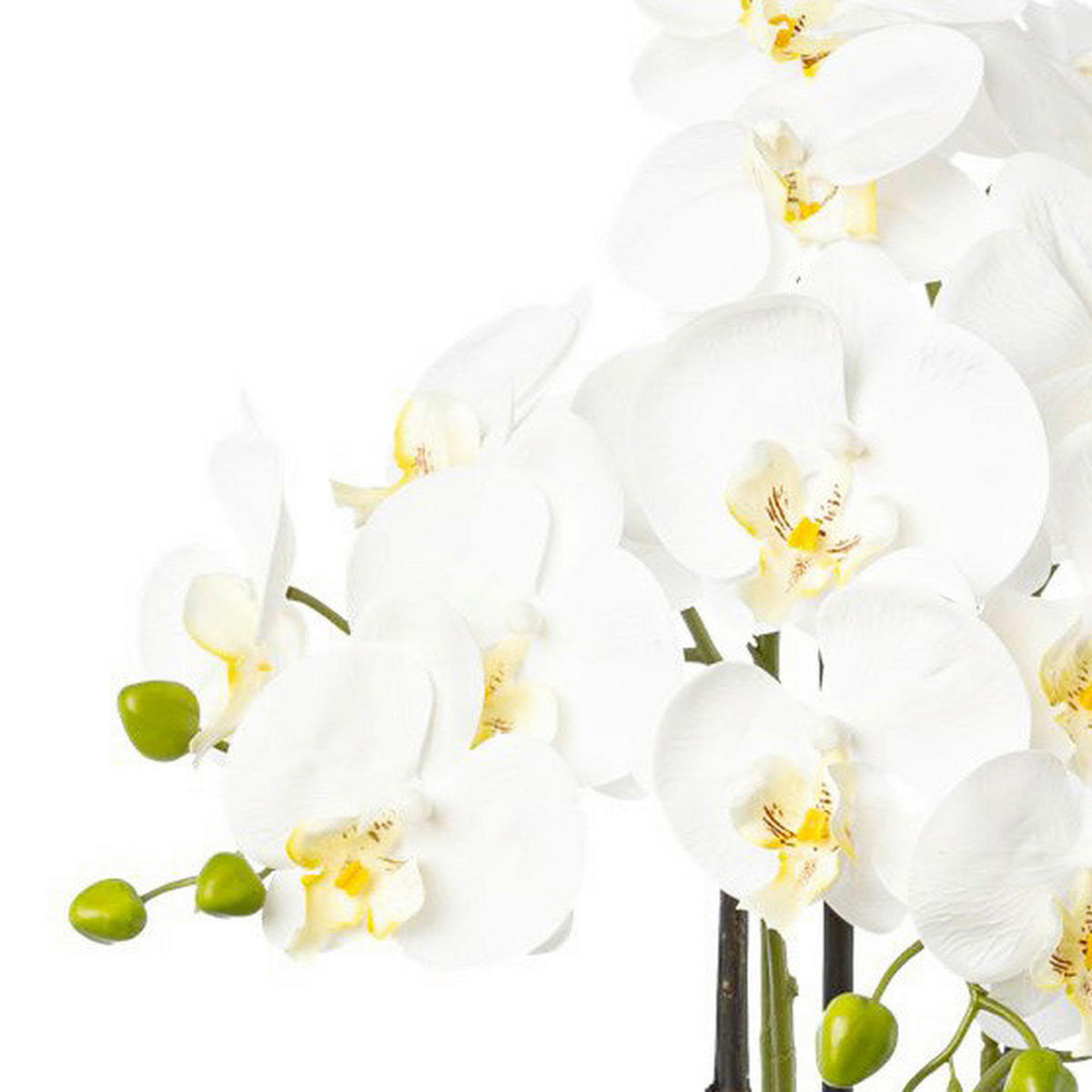 KUNSTBLUME Orchidee  - Schwarz/Weiß, Basics, Kunststoff (83cm)