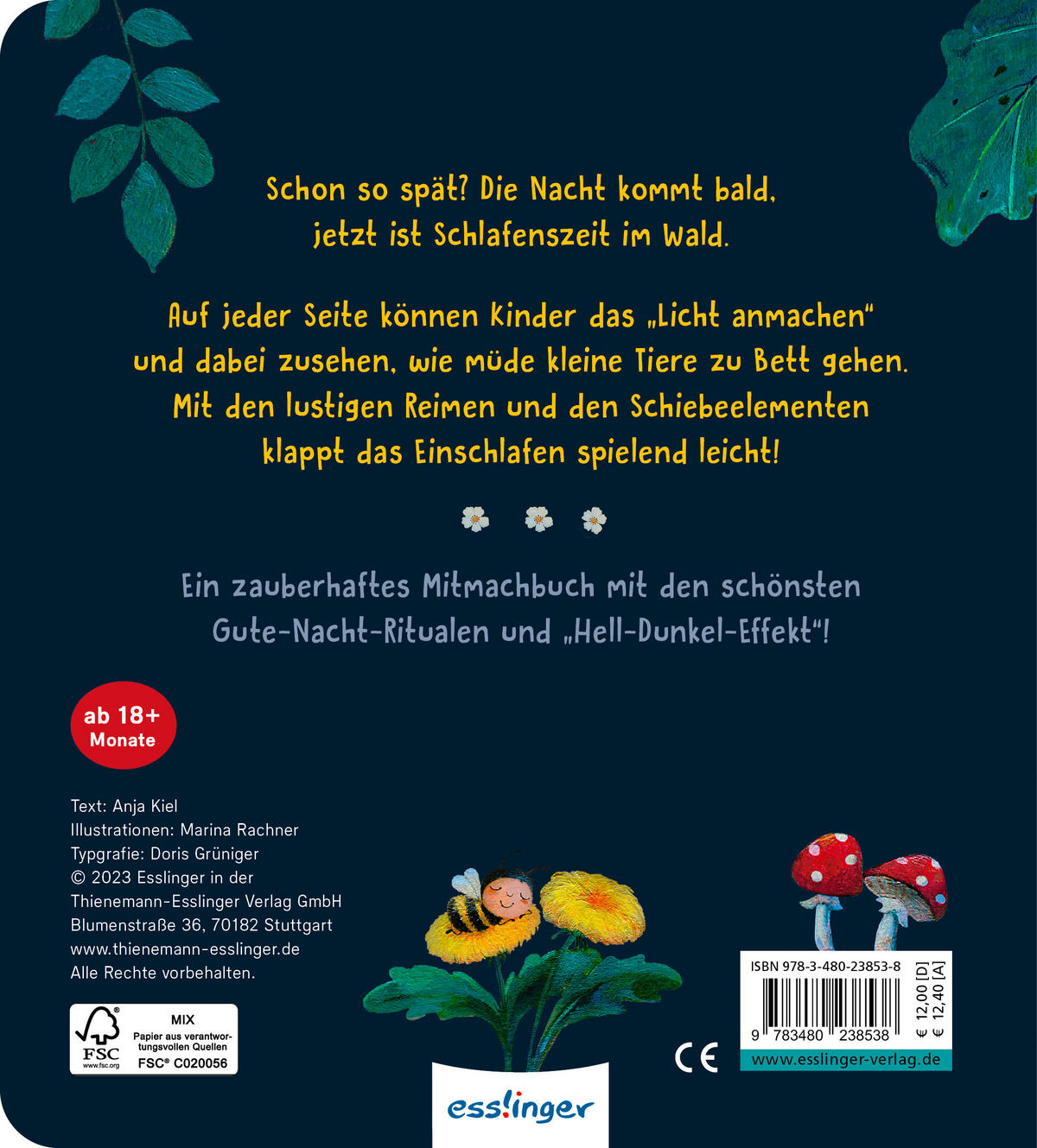 BILDERBUCH - Basics (17,6/19,60/1,9cm)