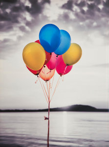 Xxl Bild In Niedersachsen Ebay Kleinanzeigen