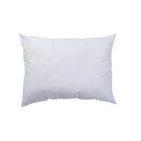 POLNILO ZA BLAZINO      30/50 cm   - bela, Konvencionalno, tekstil (30/50cm) - Boxxx