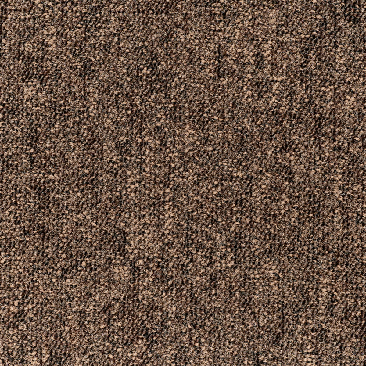 TEPPICHFLIESE Mustang 293 50/50 cm in  - Basics, Textil (50/50cm)