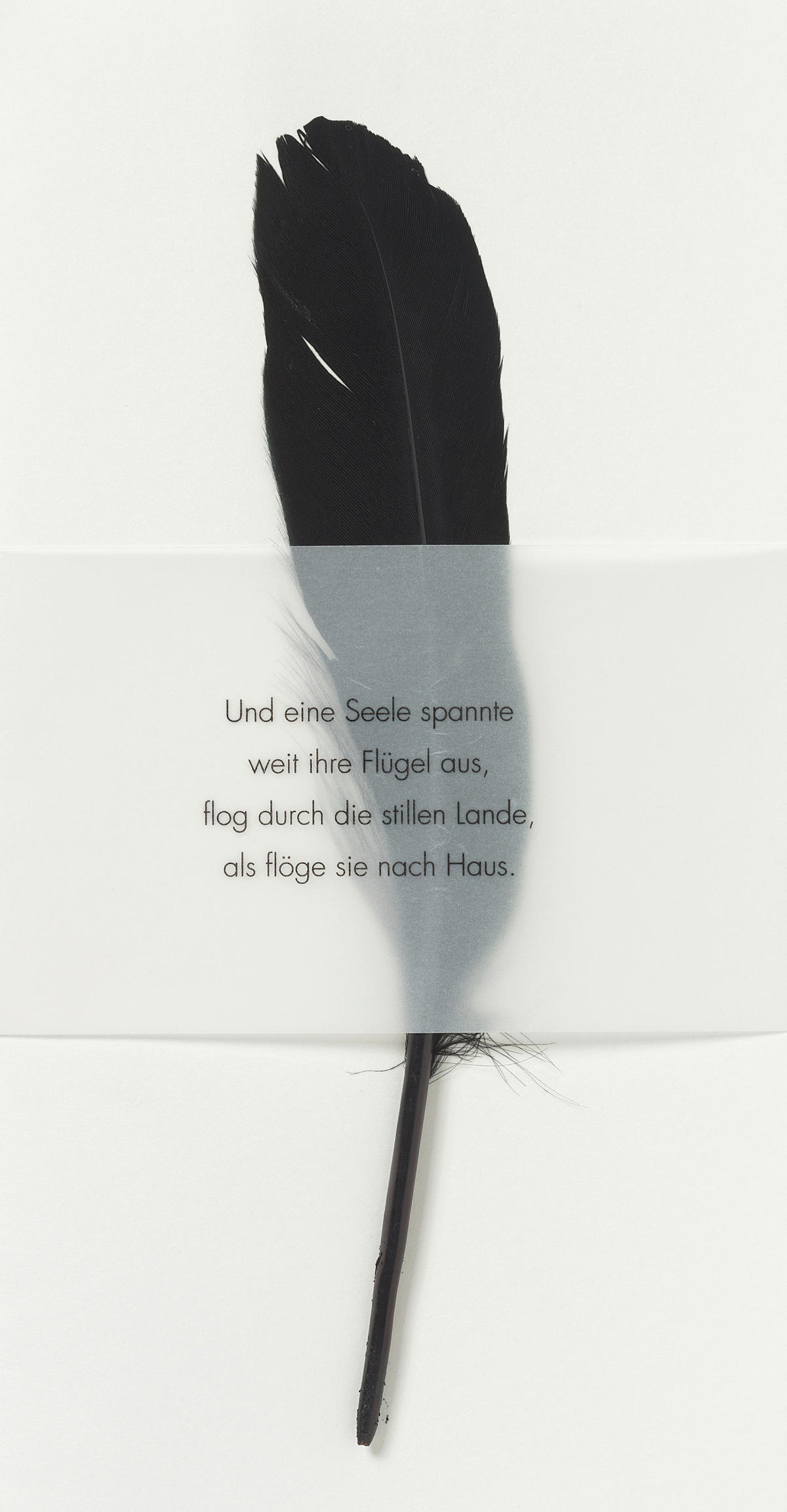 KARTE  - Weiss/Schwarz, Basics, Papier (11,5/22cm) - Räder