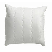 KOPFKISSEN  Vision  40/40 cm       - Basics (40/40cm) - Centa-Star