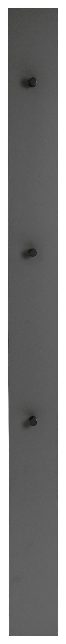 GARDEROBENPANEEL  in 14/170/5 cm  - Anthrazit/Grau, Design, Holzwerkstoff (14/170/5cm) - Dieter Knoll