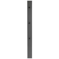 GARDEROBENPANEEL  in 14/170/5 cm  - Anthrazit/Grau, Design, Holzwerkstoff (14/170/5cm) - Dieter Knoll
