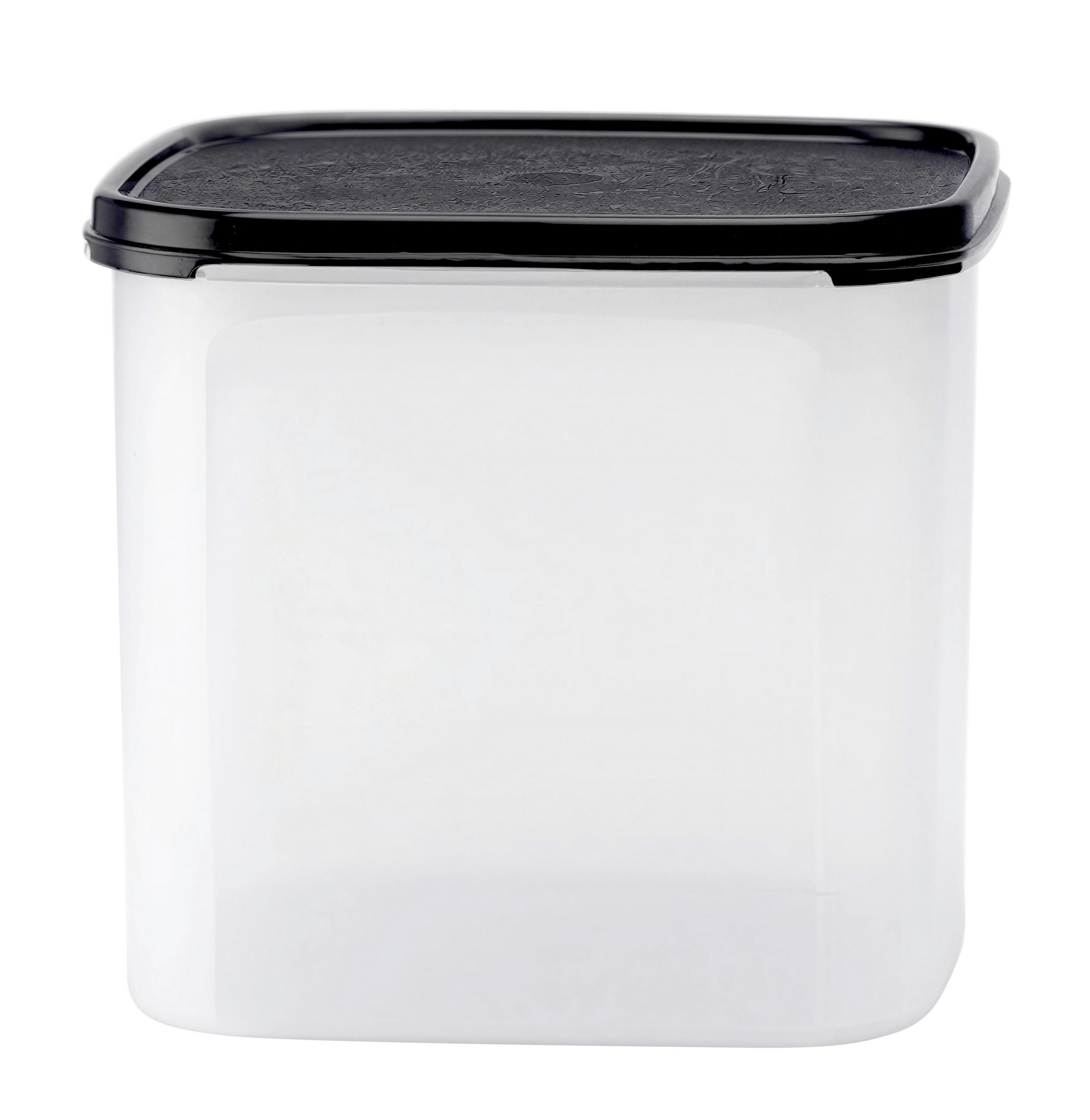 AUFBEWAHRUNGSDOSE 2,6 l  - Grauweiß/Schwarz, Basics, Kunststoff (2,6l) - Fackelmann