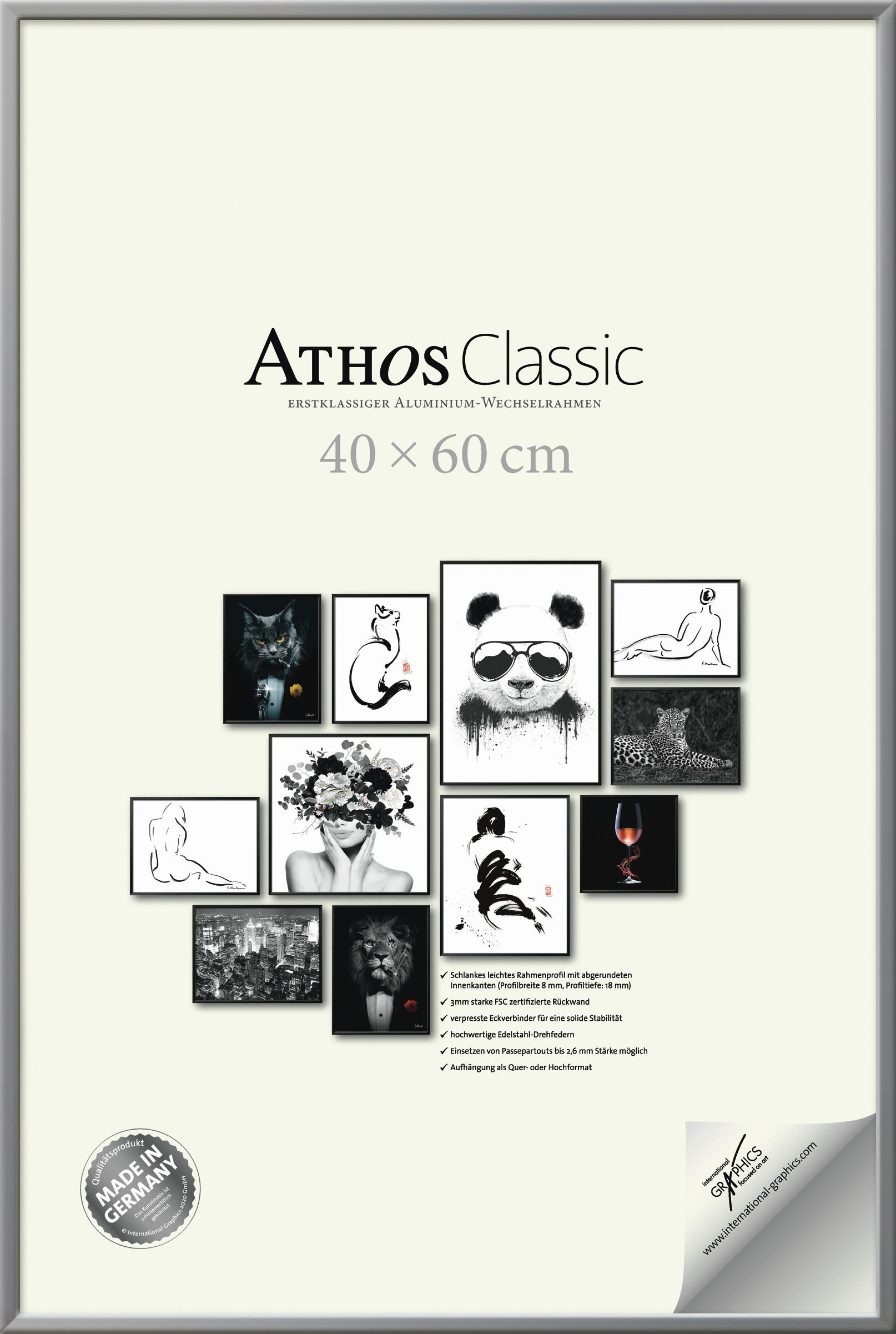 BILDERRAHMEN - Silberfarben, Basics, Papier/Holzwerkstoff (40/60/1,8cm)