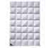 DAUNENDECKE 140/220 cm - Weiß, Natur, Textil (140/220cm) - Billerbeck DAUNENDECKE 140/220 cm - Weiß, Natur, Textil (140/220cm) - Billerbeck