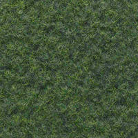 GYEPSZŐNYEG   - sötétzöld, Basics, műanyag/textil (100/200cm) - Boxxx