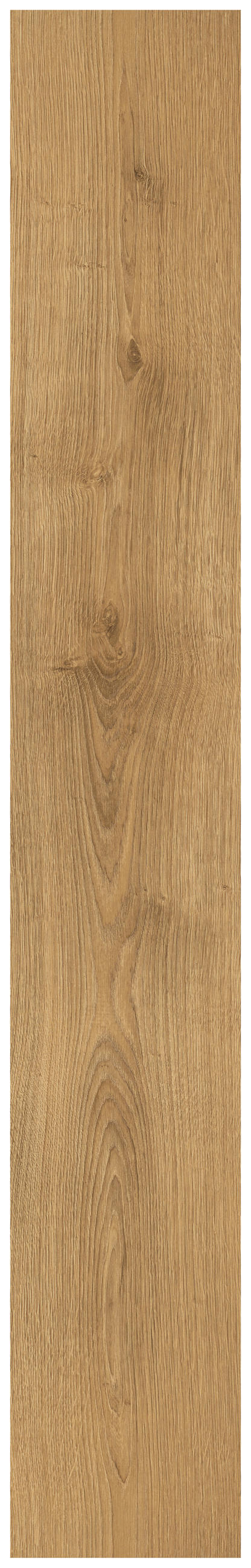 LAMINATBODEN Nord Eiche natur  per  m² - Eichefarben, KONVENTIONELL, Holzwerkstoff (129.2/19.3/0.7cm) - Venda