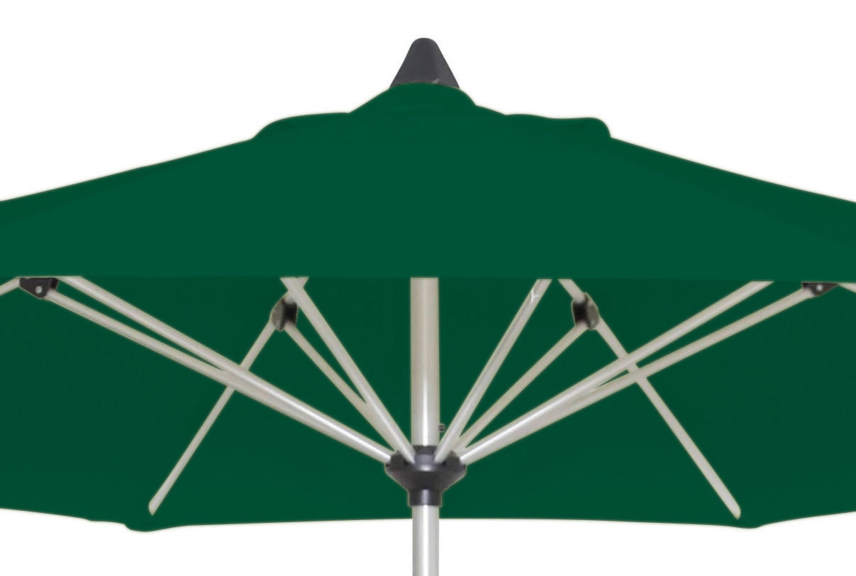 SONNENSCHIRM Platinfarben  - Platinfarben/Dunkelgrün, Basics, Textil/Metall (300cm) - Gardenson