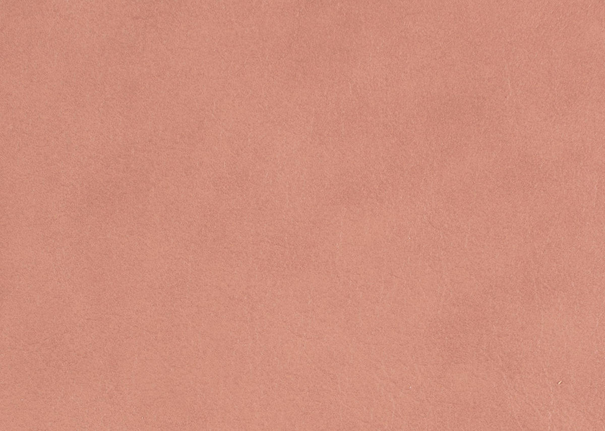 RELAXSESSEL Leder Koralle  - Edelstahlfarben/Koralle, Design, Leder/Metall (78/117/89cm) - Himolla Komfortklass