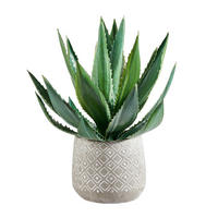 AGAVE 33 cm  - Grün, Basics, Kunststoff (33cm)