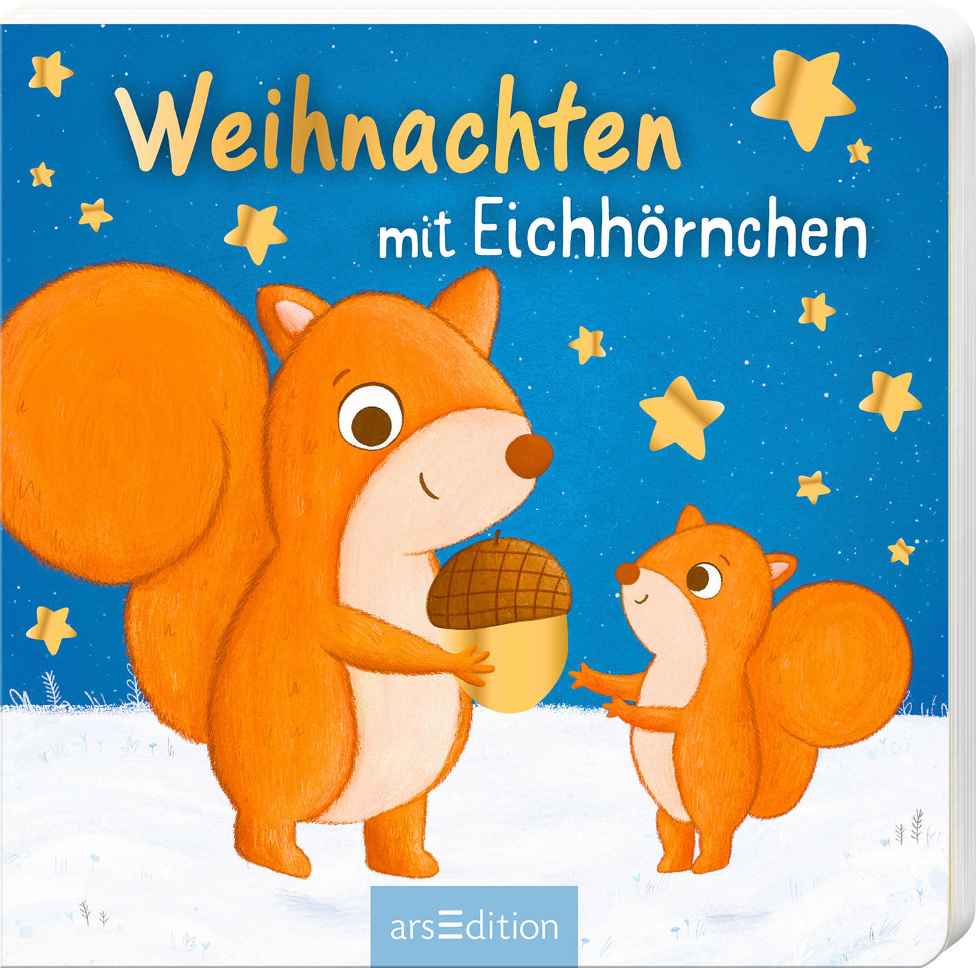 KINDERBUCH Weihnachten mit Eichhörnchen  - Multicolor, Basics, Papier (16/16/1,2cm)