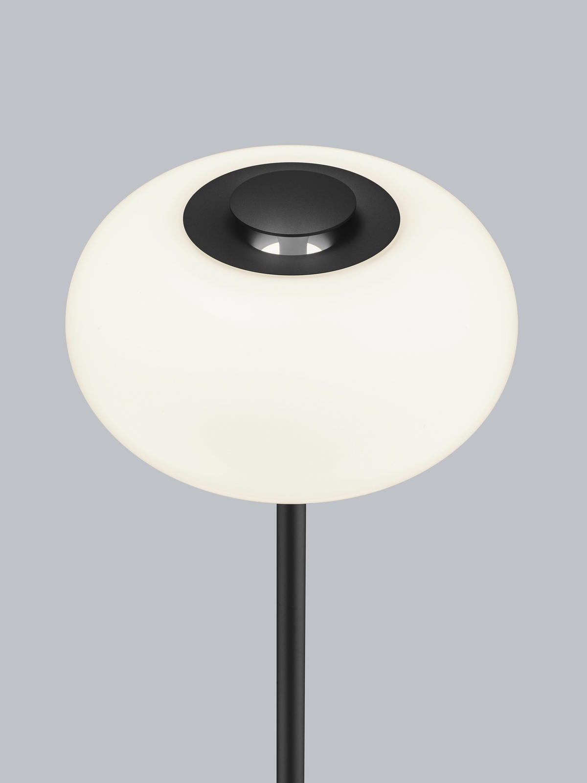 LED-STEHLEUCHTE Sapo 20 / 28/150 cm   - Schwarz/Weiß, Design, Glas/Metall (20 / 28/150cm) - Helestra