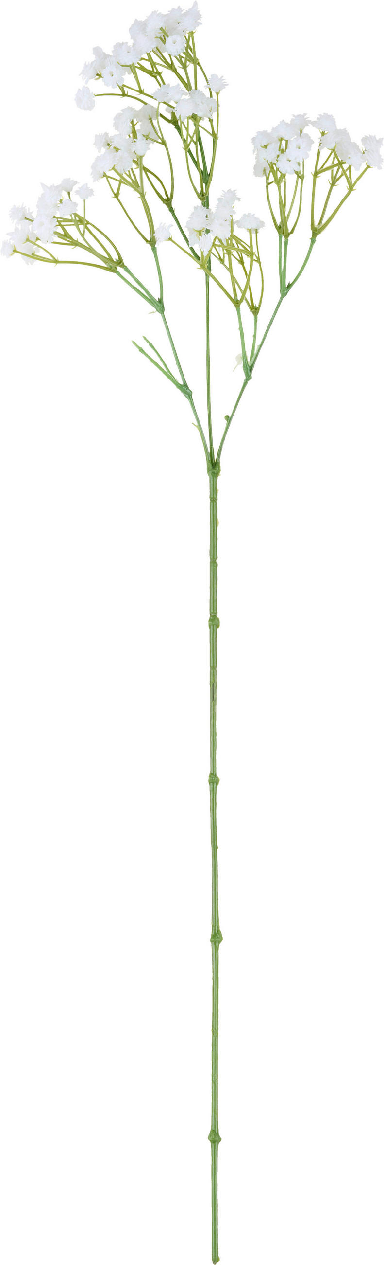 KUNSTBLUME - Weiß/Grün, Basics, Kunststoff (67cm)