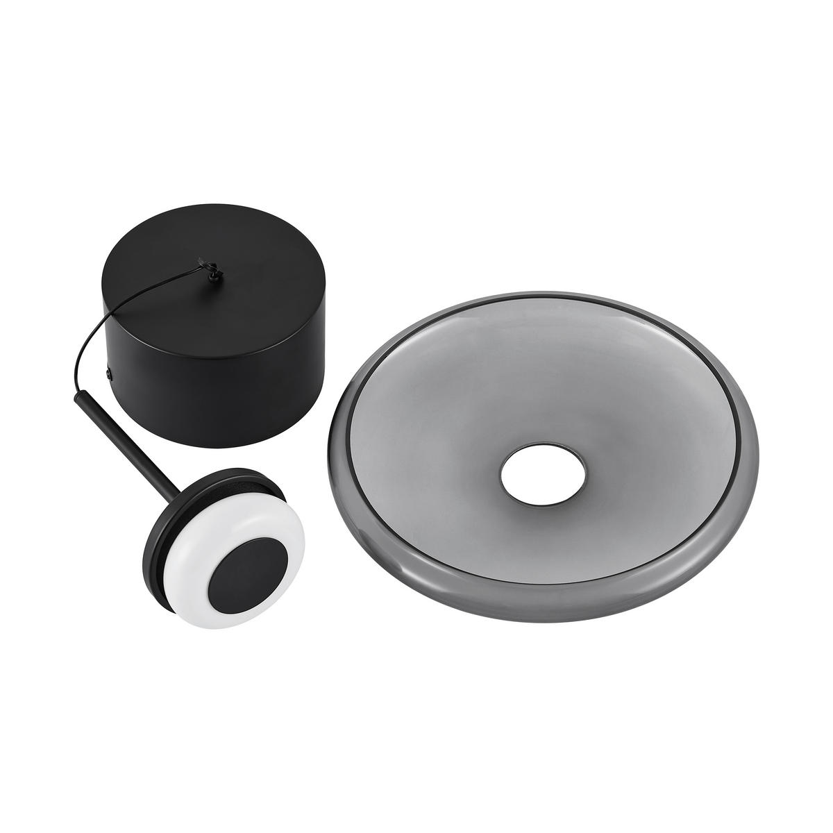LED-HÄNGELEUCHTE Felis   - Schwarz, Basics, Glas/Metall (25cm) - Novel