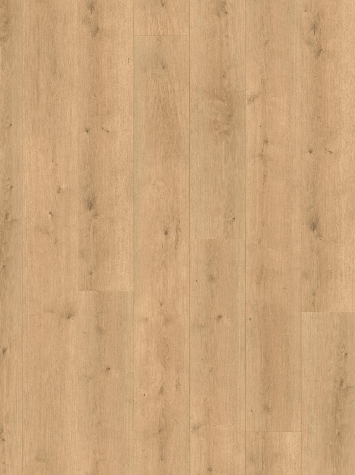 DESIGNBODEN Modular ONE  per  m² - Eichefarben, Design, Holz (220/23.5/0,8cm) - Parador